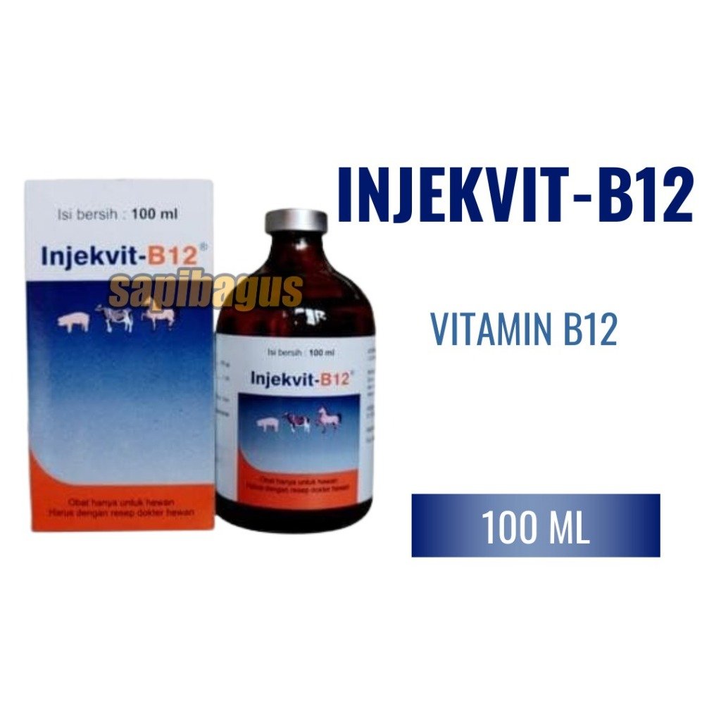 Image injekvit-b12.jpeg